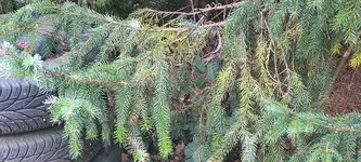 1000002441.webp