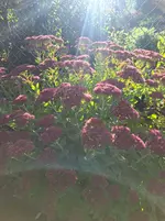 20261002_173337.webp