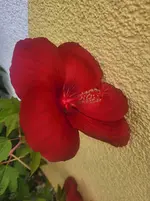 20260921_082203.webp