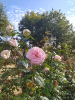 IMG_20261004_133250.webp