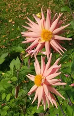 IMG_20261004_144721.webp