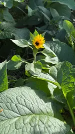 IMG_0550.webp IMG_0550.webp