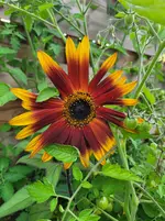 20260928_171641.webp