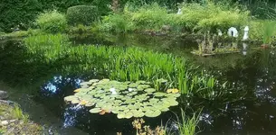 Teich1 (2).webp
