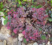 IMG_20261005_160845_1.webp