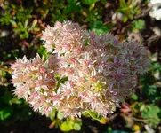IMG_20261005_161032.webp