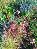 IMG_20261005_161637.webp