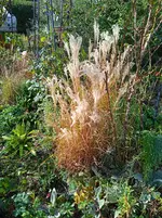 IMG_20261005_160654_1.webp