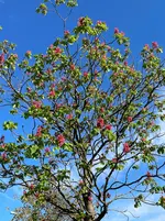 IMG_8654.webp