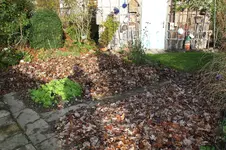 Nov.0422.webp