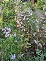 IMG_0677.webp IMG_0677.webp