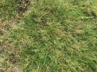 IMG_4848 2.webp