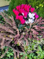 20261010_164552.webp