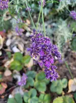 20261010_165215.webp