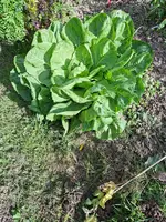 20260930_104546.webp