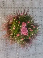 IMG_20261016_121850.webp