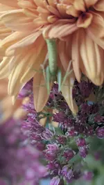 PXL_20261018_072644273.PORTRAIT.webp PXL_20261018_072644273.PORTRAIT.webp