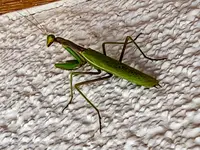 IMG_20261007_083954901_HDR~2.webp