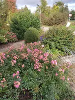 1792406486081.webp