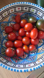 IMG-20261020-WA0000.webp