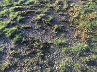 Foto 11_Aktuell (nach 15 Min Gardena Regner).webp