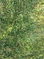 Foto 12_Akzeptables Ziel_a.webp