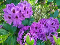 IMG_20260527_130151_1.webp