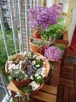 P4290285.webp