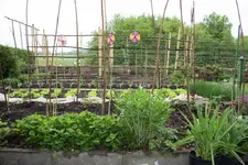02.05 (3).webp