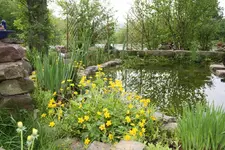 02.05 (15).webp