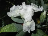 IMG_weiß4_1024x768.webp