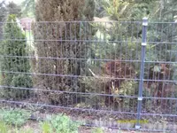 Garten5.webp