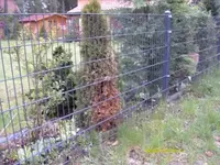 Garten4.webp