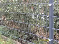 Garten2.webp