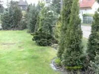 Garten1.webp