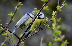 comp_IMG_85241.webp