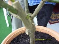 SDC10883.webp