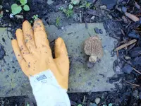 p5020026 [800x600].webp