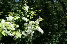IMG_1171 - Kopie.webp IMG_1171 - Kopie.webp