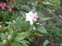 2.5.2010 004.webp