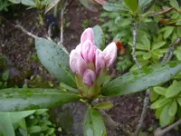 2.5.2010 005.webp