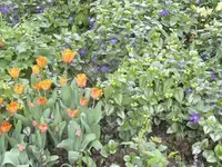 2.5.2010 006.webp