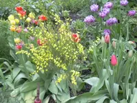 2.5.2010 008.webp