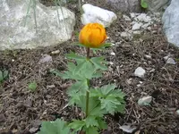 2.5.2010 019.webp