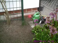 PIC00149.webp