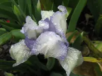 IMG_4365_1024x768.webp