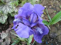IMG_4376_1024x768.webp
