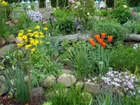 SDC10844.webp