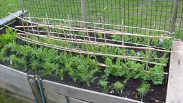 1.Mai 2010 (18).webp