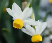 DSC_5131.webp